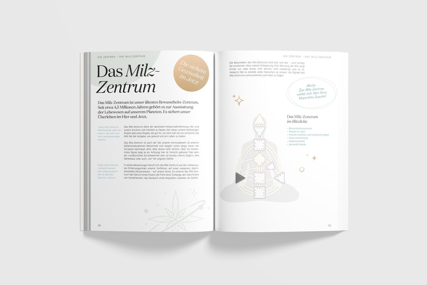 Bild: 9783910856028 | Entdecke dein Human Design | Barbara Peddinghaus | Taschenbuch | 2024