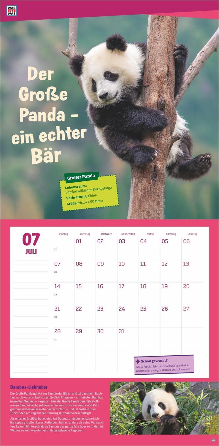 Bild: 9783756405541 | WAS IST WAS Tierwelt Broschurkalender 2025 | Kalender | 28 S. | 2025