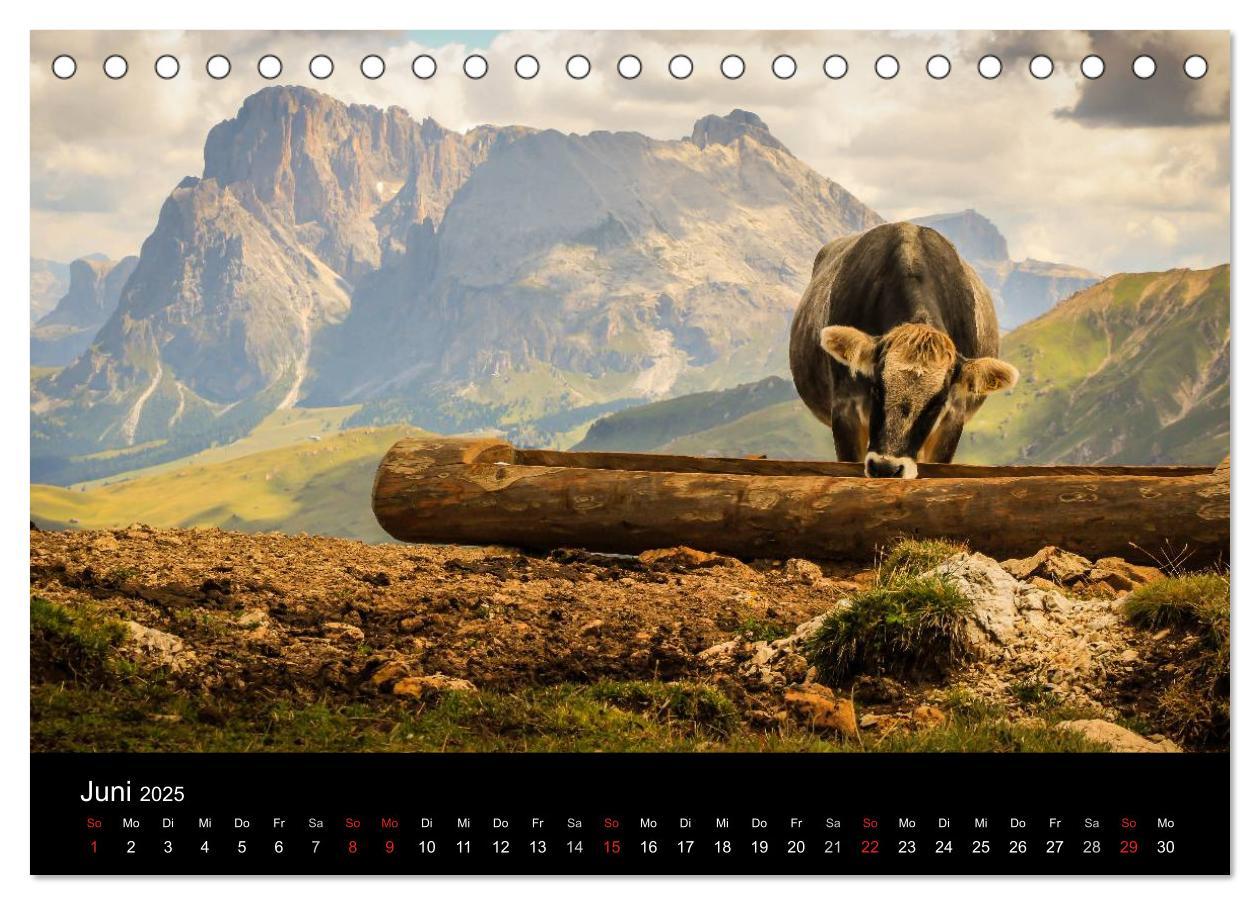 Bild: 9783435695737 | Bergpixel "Höhenrausch und Leidenschaft" (Tischkalender 2025 DIN A5...