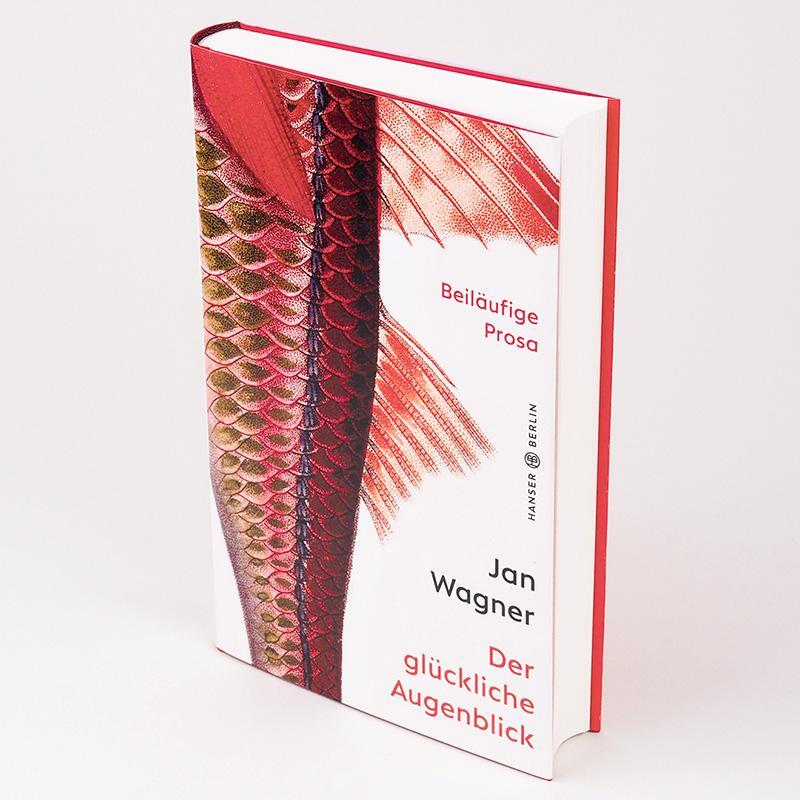 Bild: 9783446269439 | Der glückliche Augenblick | Beiläufige Prosa | Jan Wagner | Buch