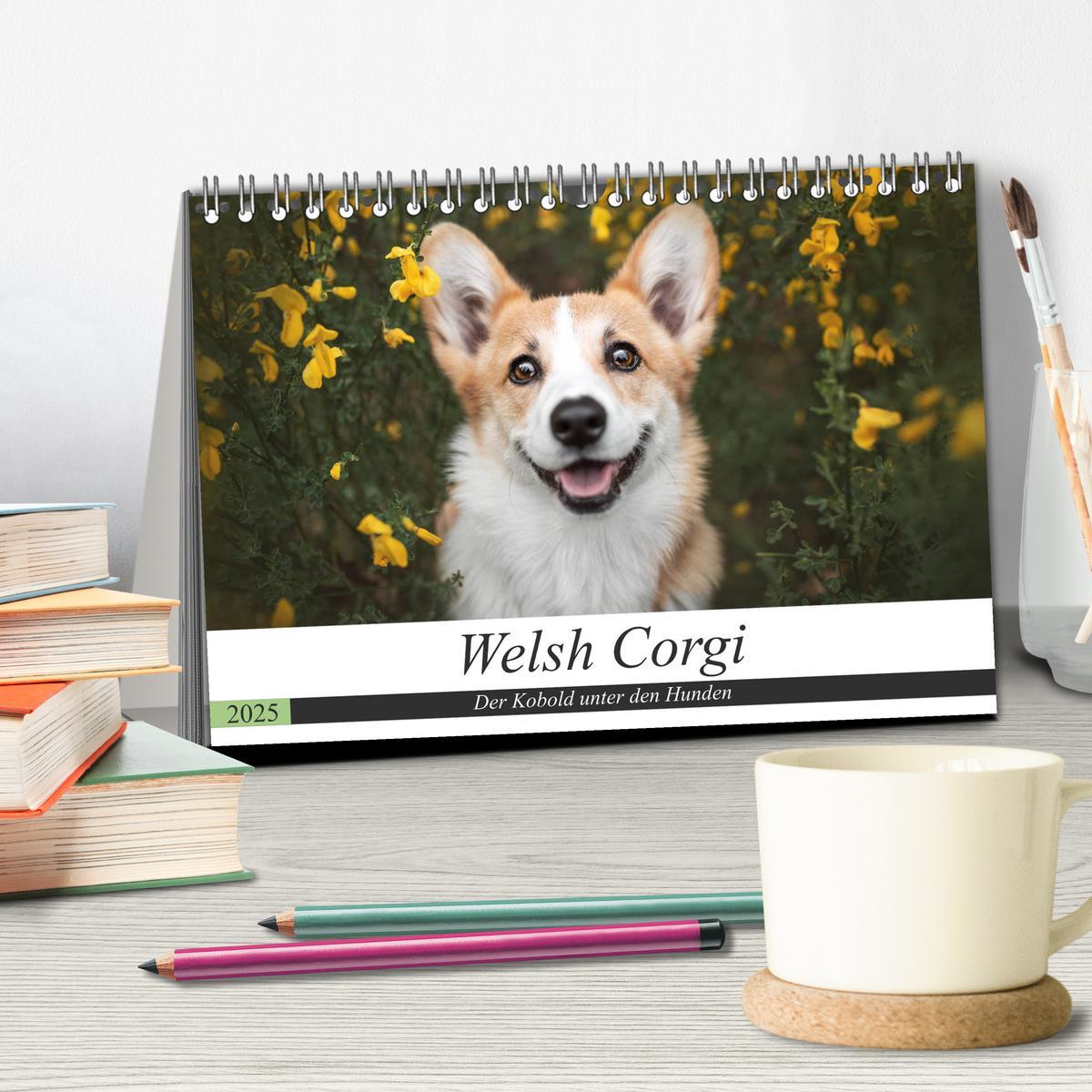 Bild: 9783435117925 | Welsh Corgi - Der Kobold unter den Hunden (Tischkalender 2025 DIN...