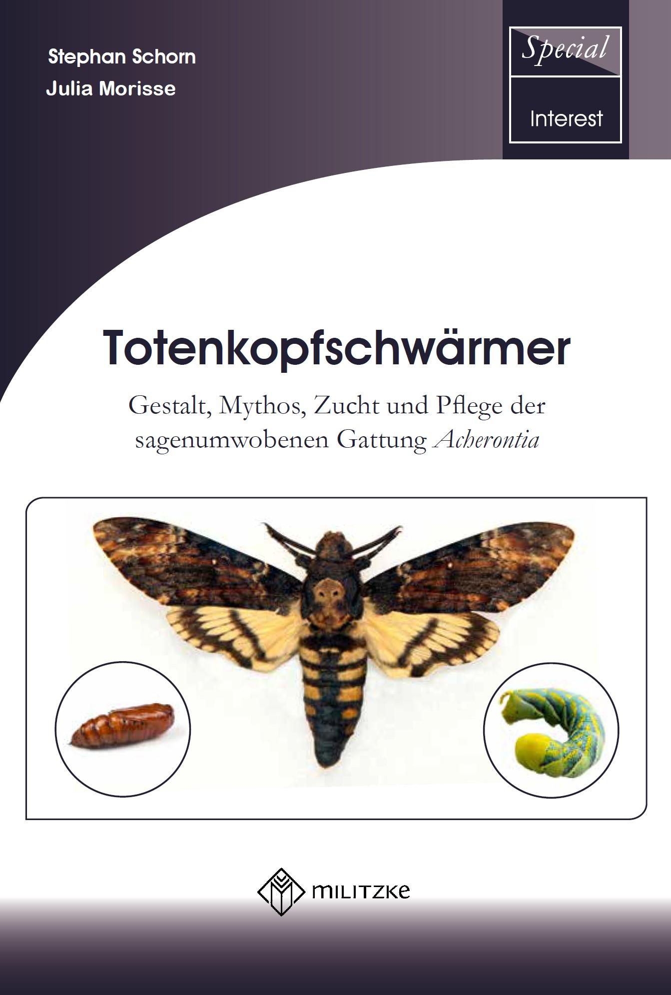 Cover: 9783894322847 | Totenkopfschwärmer | Stephan Schorn (u. a.) | Taschenbuch | 188 S.