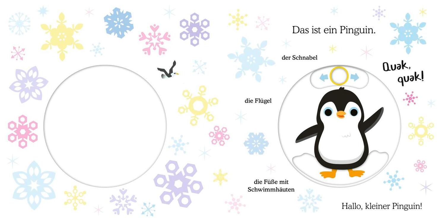 Bild: 9783737359559 | Glücksfisch: Weißt du, was die Tiere machen? Kleiner Pinguin | Buch