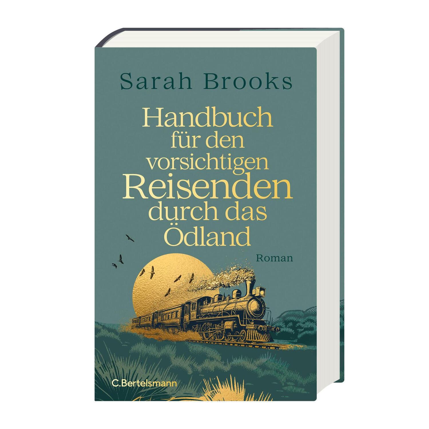 Bild: 9783570105009 | Handbuch für den vorsichtigen Reisenden durch das Ödland | Roman