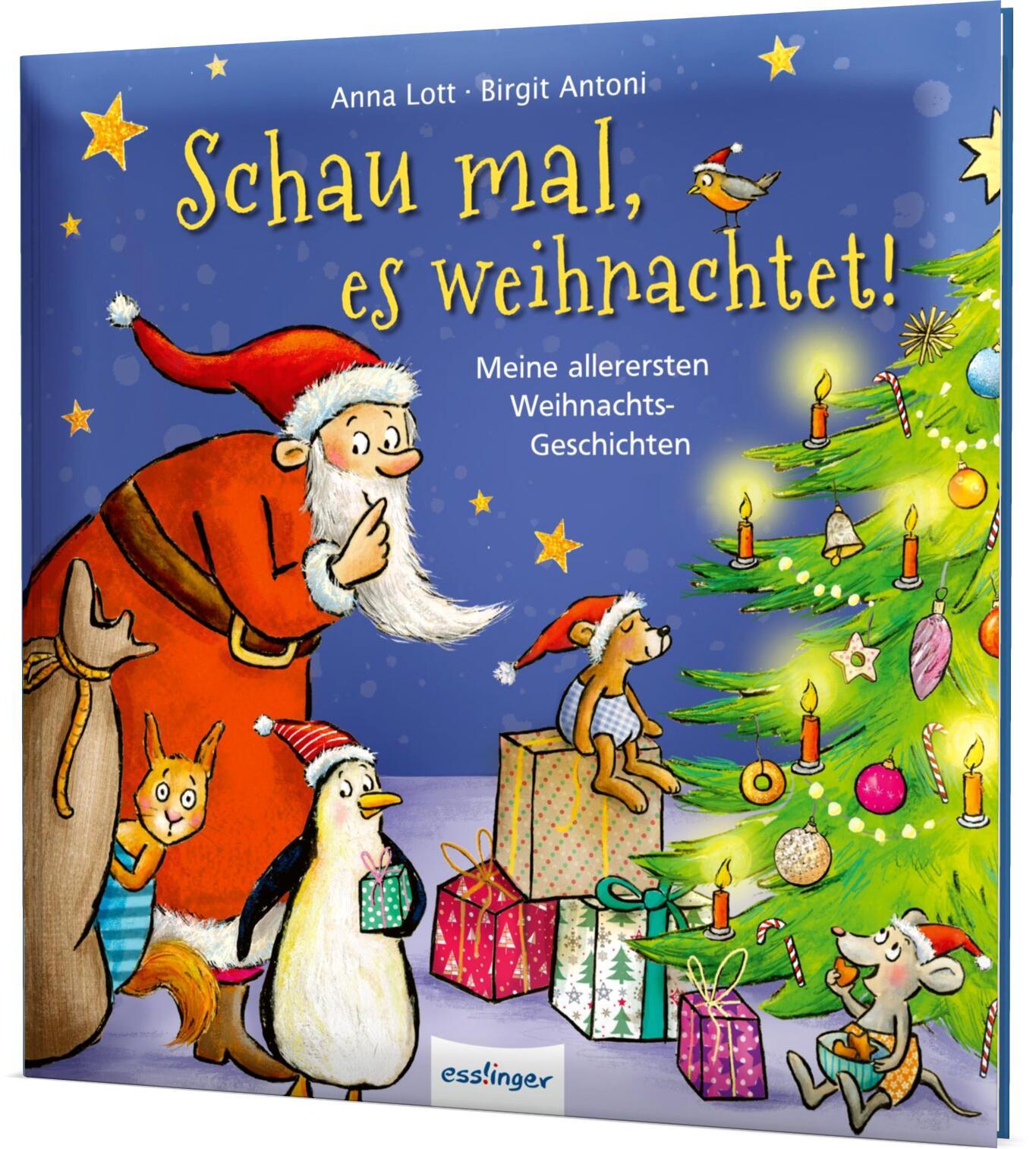 Cover: 9783480238255 | Schau mal, es weihnachtet! | Anna Lott | Buch | 64 S. | Deutsch | 2022