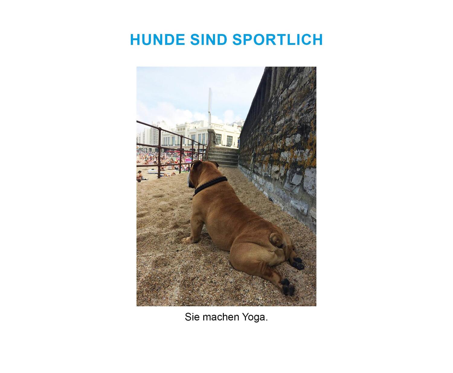 Bild: 9783832169138 | Der herabschauende Hund | 170 Hunde kommen an ihre Grenzen | Buch