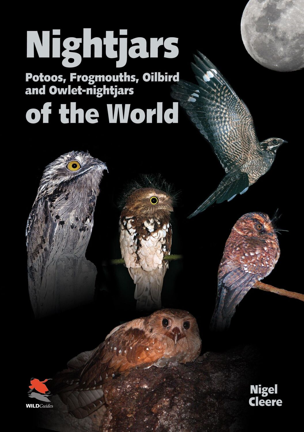 Cover: 9781903657072 | Nightjars, Potoos, Frogmouths, Oilbird, and Owlet-nightjars of the...