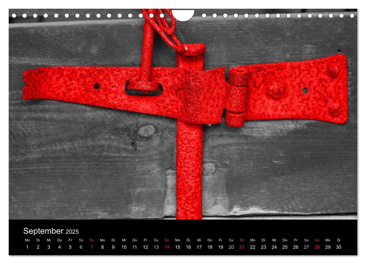 Bild: 9783435704866 | Blickfang in Rot (Wandkalender 2025 DIN A4 quer), CALVENDO...