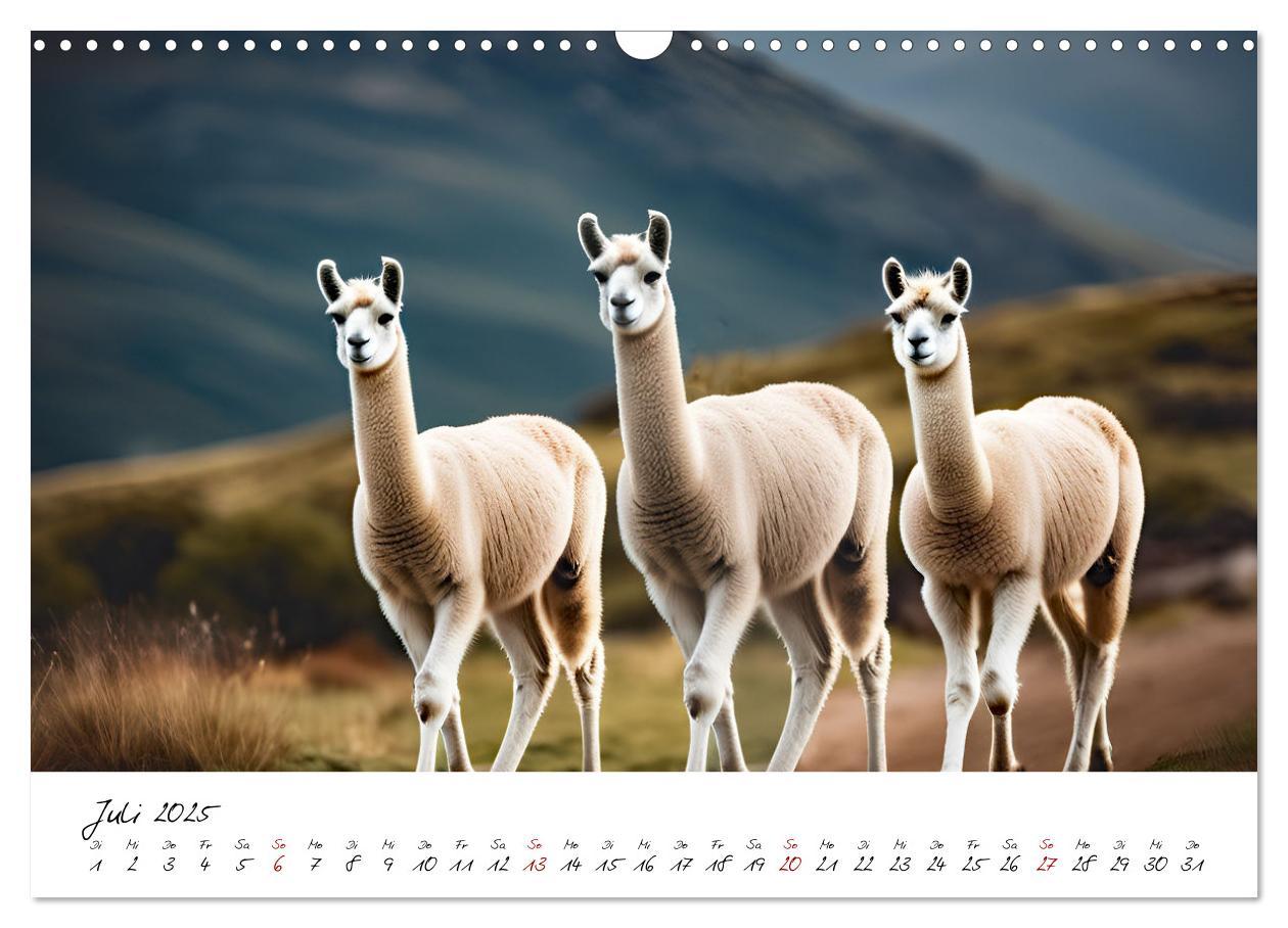 Bild: 9783457189399 | Alpakas, die sanften Andenbewohner (Wandkalender 2025 DIN A3 quer),...