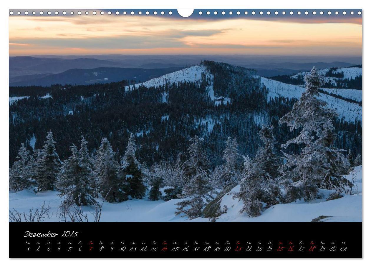 Bild: 9783435810550 | Bayerischer Wald (Wandkalender 2025 DIN A3 quer), CALVENDO...