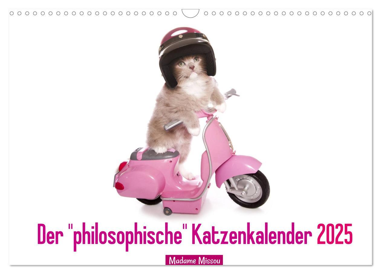 Cover: 9783435620128 | Der "philosophische" Katzenkalender 2025 (Wandkalender 2025 DIN A3...