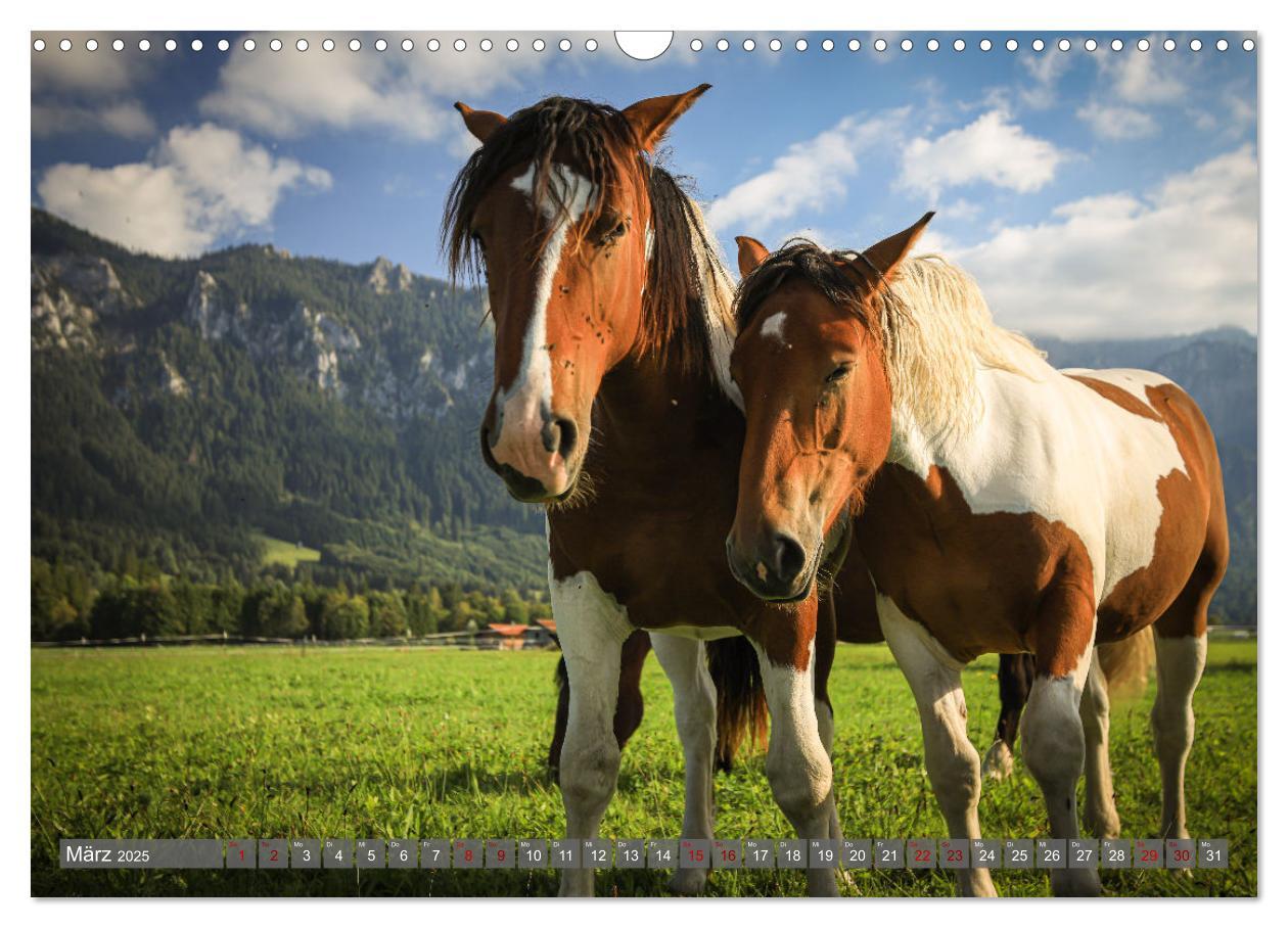 Bild: 9783383847288 | Ostallgäu - Zwischen Aggenstein und Forggensee (Wandkalender 2025...