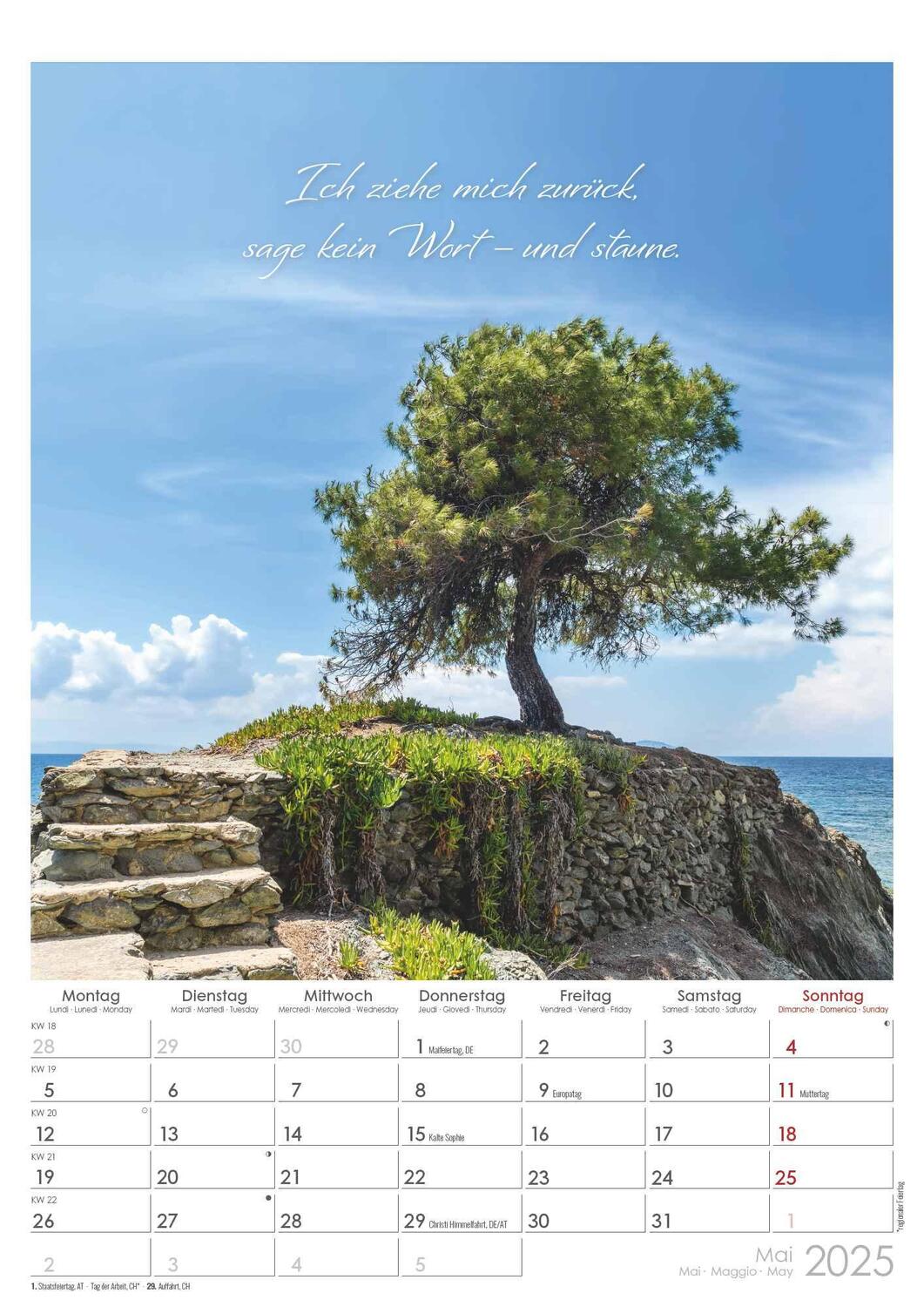 Bild: 4251732343491 | Auszeit für die Seele 2025 - Bildkalender A3 (29,7x42 cm) -...