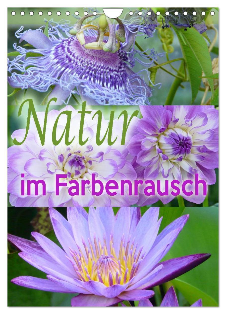 Cover: 9783457021033 | Natur im Farbenrausch (Wandkalender 2025 DIN A4 hoch), CALVENDO...