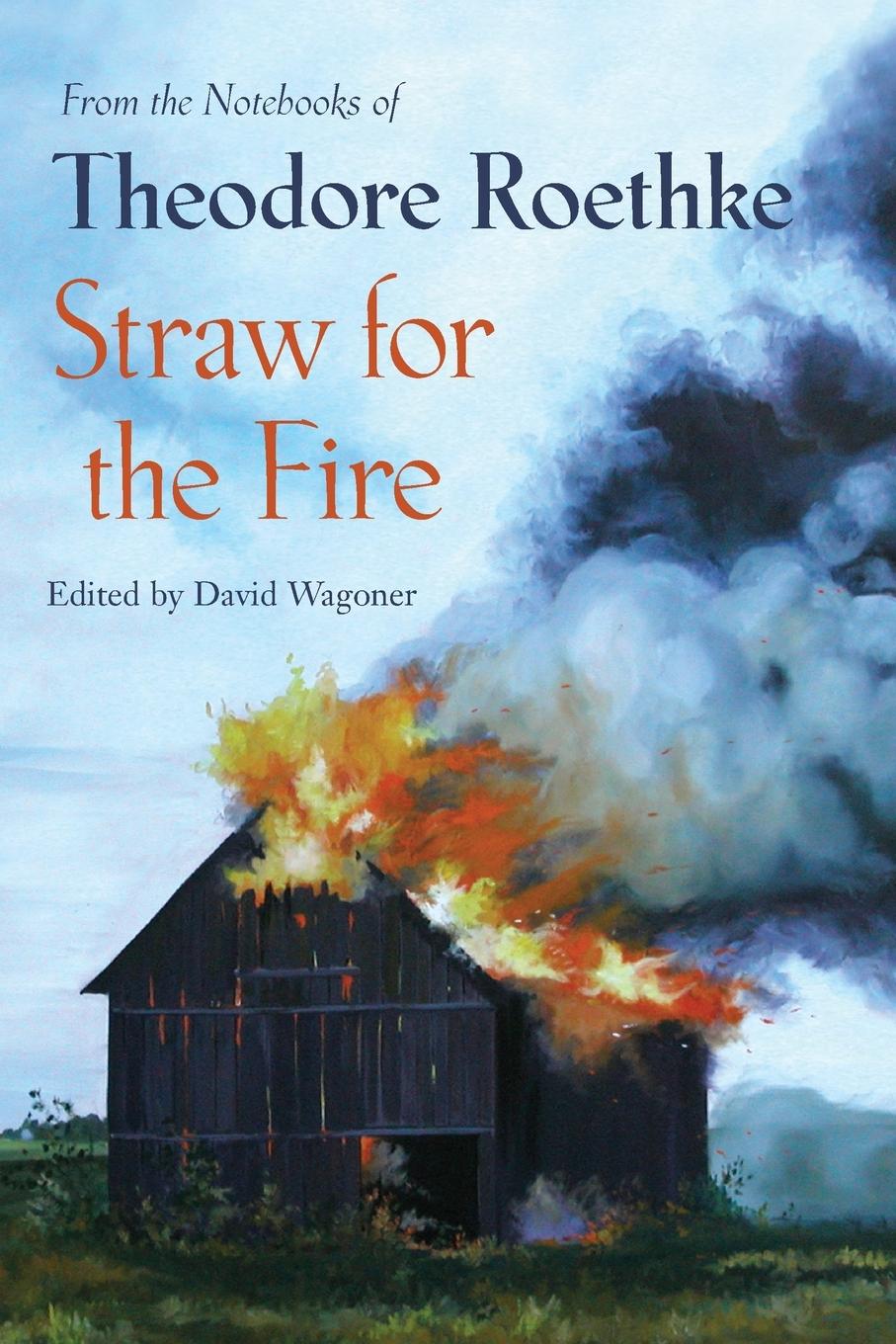 Cover: 9781556592485 | Straw for the Fire | From the Notebooks of Theodore Roethke | Roethke