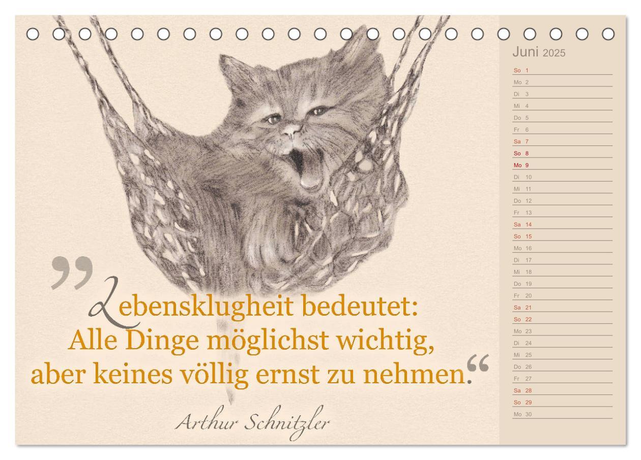 Bild: 9783435454396 | Von Katzen lernen (Tischkalender 2025 DIN A5 quer), CALVENDO...