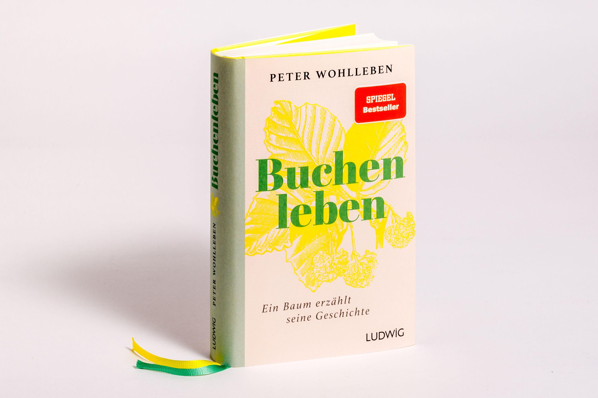 Bild: 9783453281820 | Sonderedition: Buchenleben | Peter Wohlleben | Buch | 352 S. | Deutsch