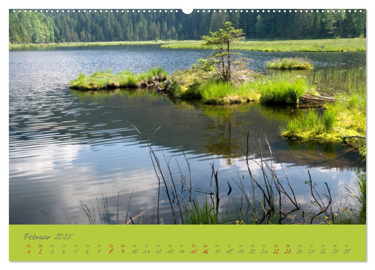 Bild: 9783435193530 | Der Bayerische Wald (Wandkalender 2025 DIN A2 quer), CALVENDO...