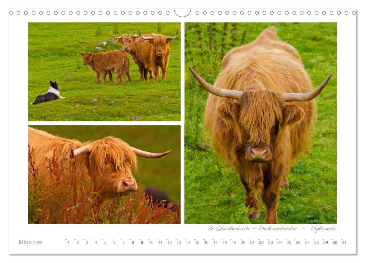 Bild: 9783435822591 | Sehnsucht Schottland (Wandkalender 2025 DIN A3 quer), CALVENDO...