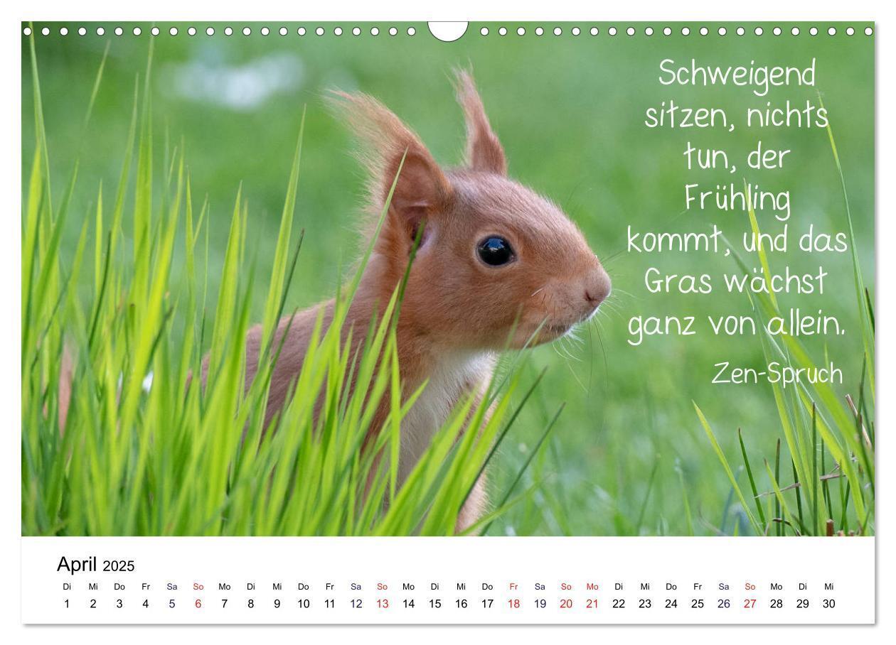 Bild: 9783435433926 | Der literarische Eichhörnchen-Kalender (Wandkalender 2025 DIN A3...