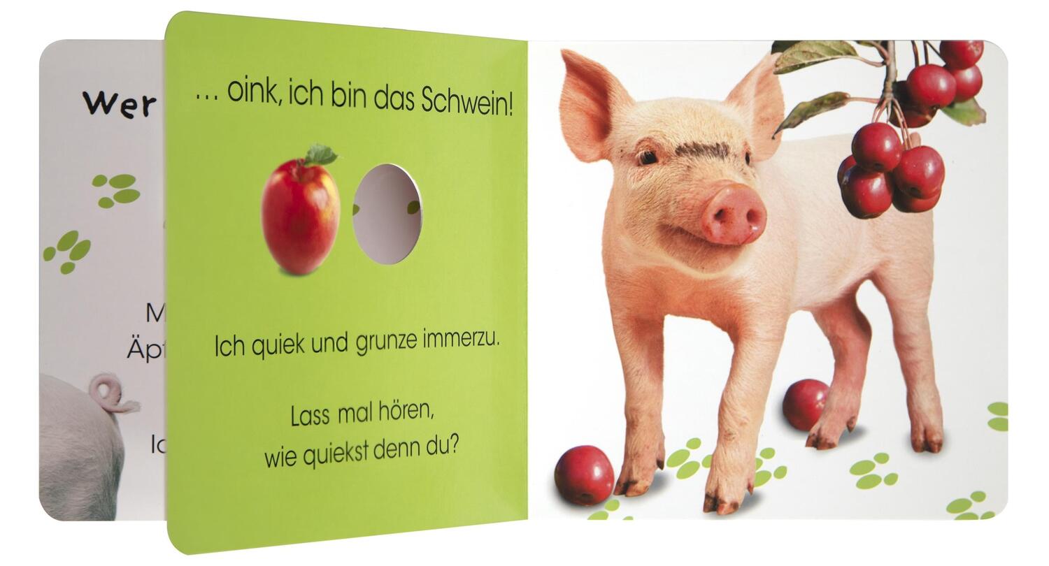 Bild: 9783831039456 | Wer versteckt sich da. Tiere auf dem Bauernhof | Sandra Grimm | Buch