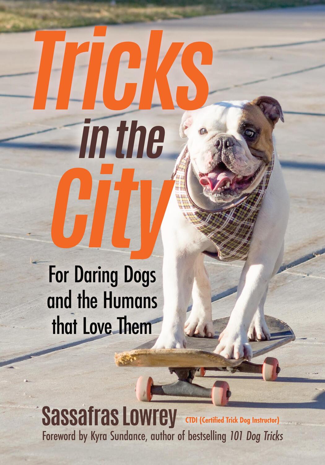 Bild: 9781642500394 | Tricks in the City | Sassafras Lowrey | Taschenbuch | Paperback | 2019