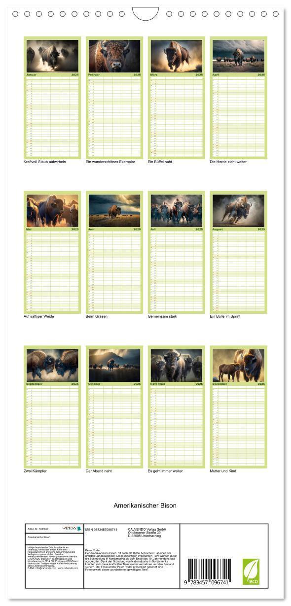 Bild: 9783457096741 | Familienplaner 2025 - Amerikanischer Bison mit 5 Spalten...