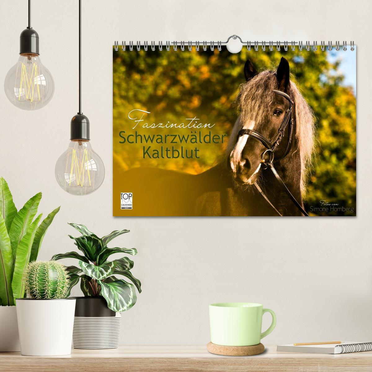 Bild: 9783435580156 | Faszination Schwarzwälder Kaltblut (Wandkalender 2025 DIN A4 quer),...