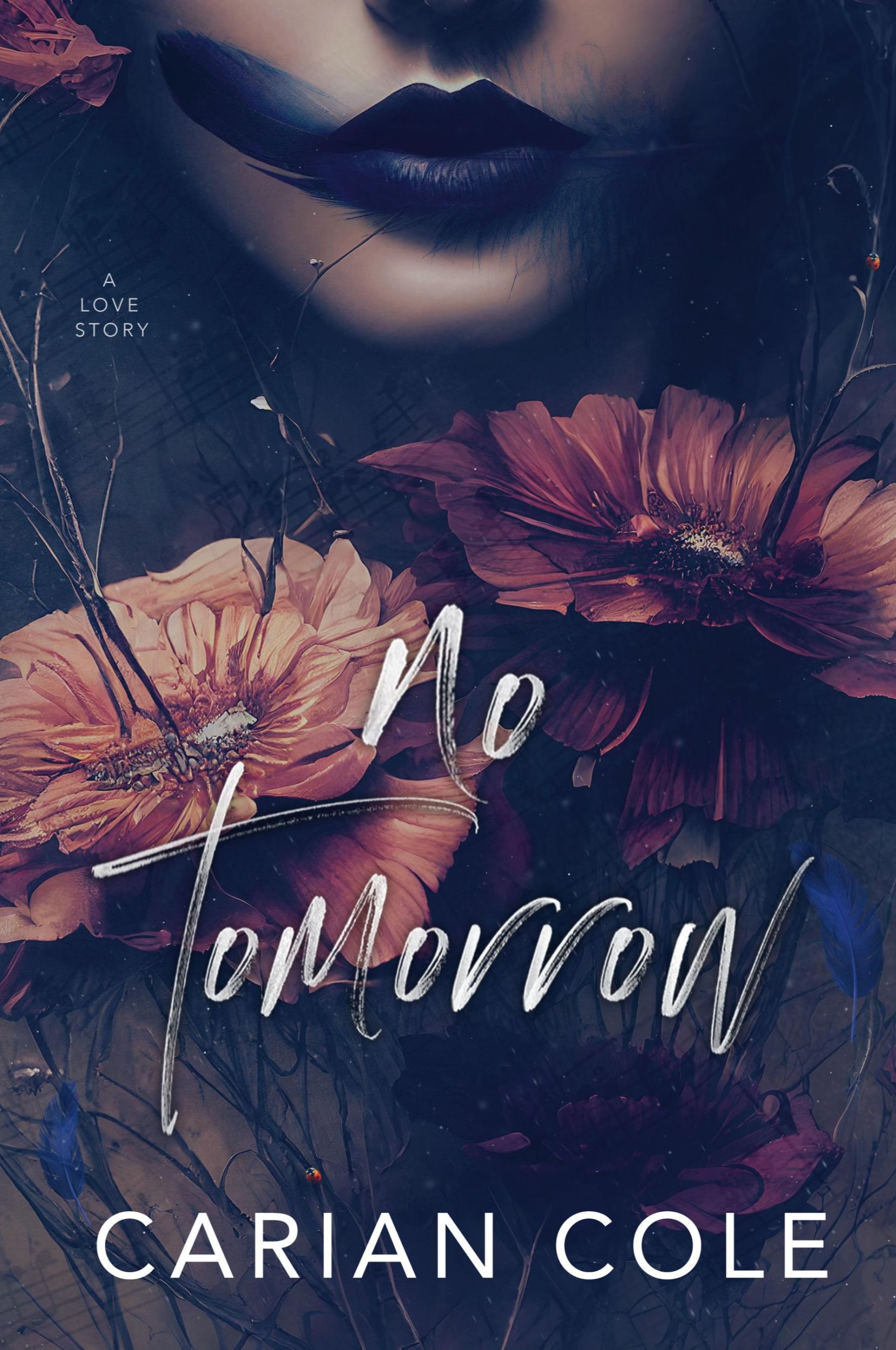 Cover: 9781959194125 | No Tomorrow | An Angsty Love Story | Carian Cole | Taschenbuch | 2018