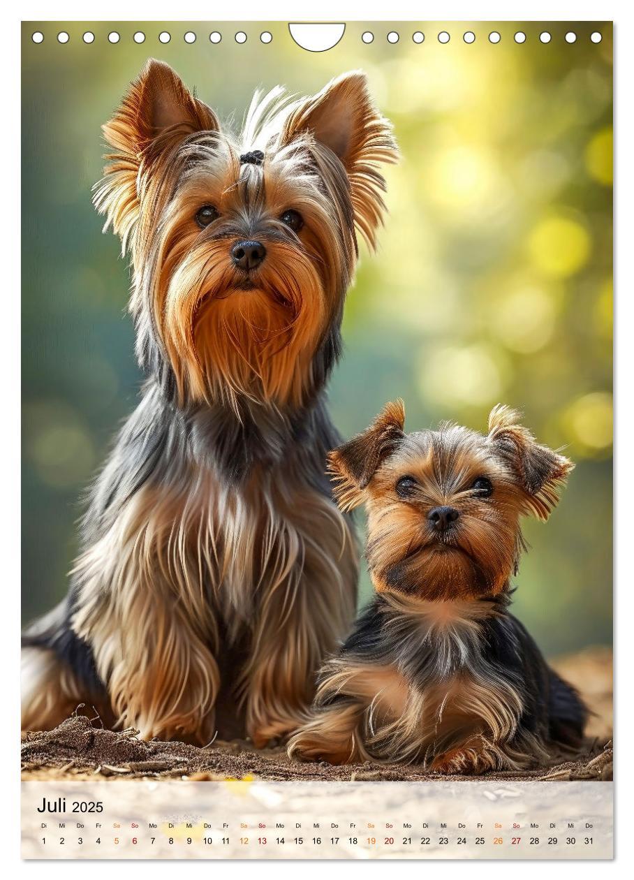 Bild: 9783383771699 | Yorkshire Terrier - ein Hund mit starkem Charakter (Wandkalender...