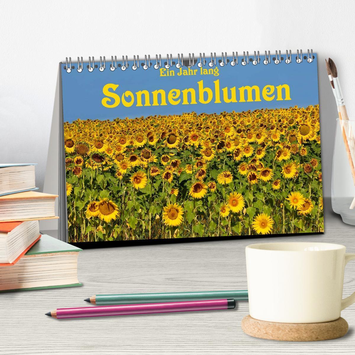 Bild: 9783435475797 | Ein Jahr lang Sonnenblumen (Tischkalender 2025 DIN A5 quer),...