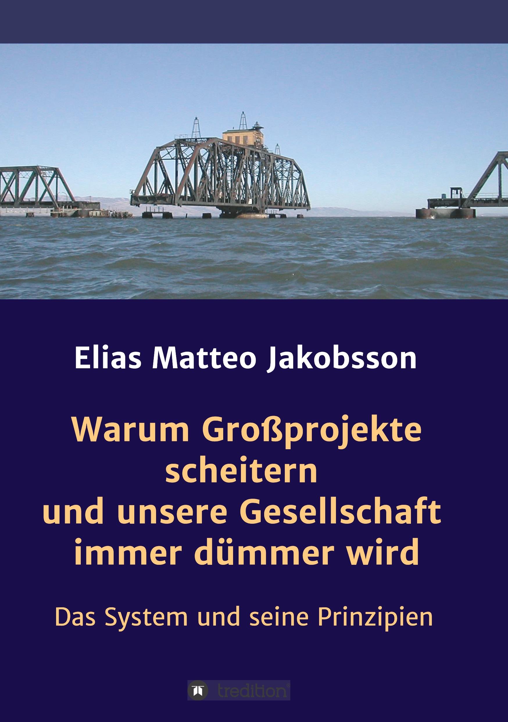 Cover: 9783748202196 | Warum Großprojekte scheitern und unsere Gesellschaft immer dümmer wird