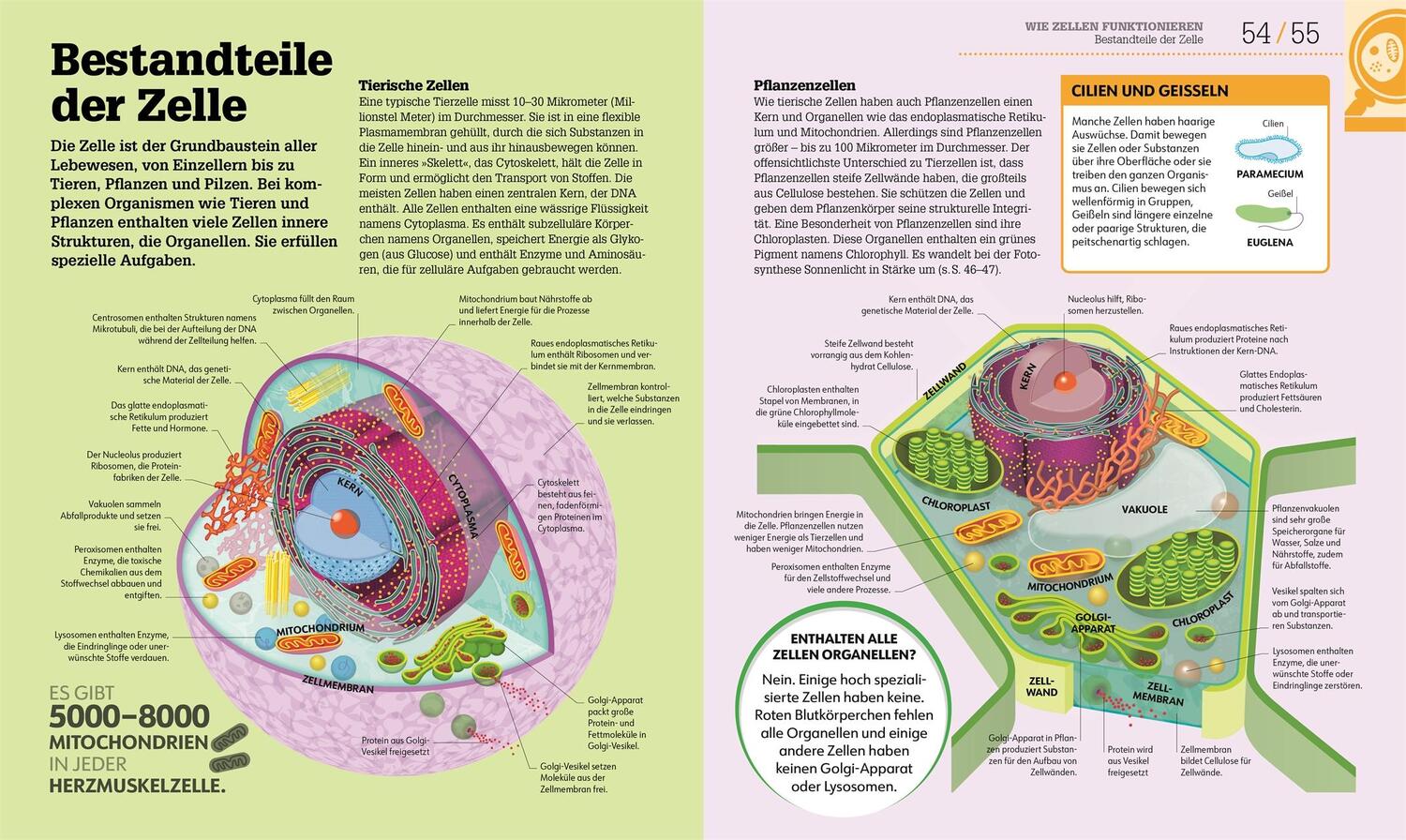 Bild: 9783831048205 | #dkinfografik. Biologie einfach erklärt | Jack Challoner (u. a.)