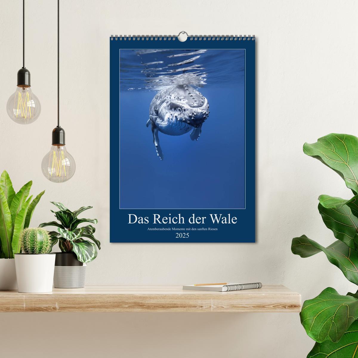 Bild: 9783435990986 | Im Reich der Wale (Wandkalender 2025 DIN A3 hoch), CALVENDO...