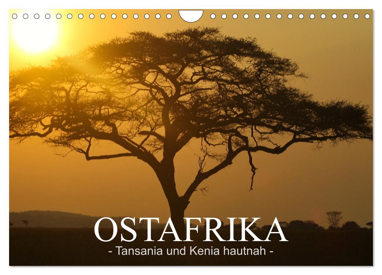 Cover: 9783435093823 | Ostafrika - Tansania und Kenia hautnah (Wandkalender 2025 DIN A4...