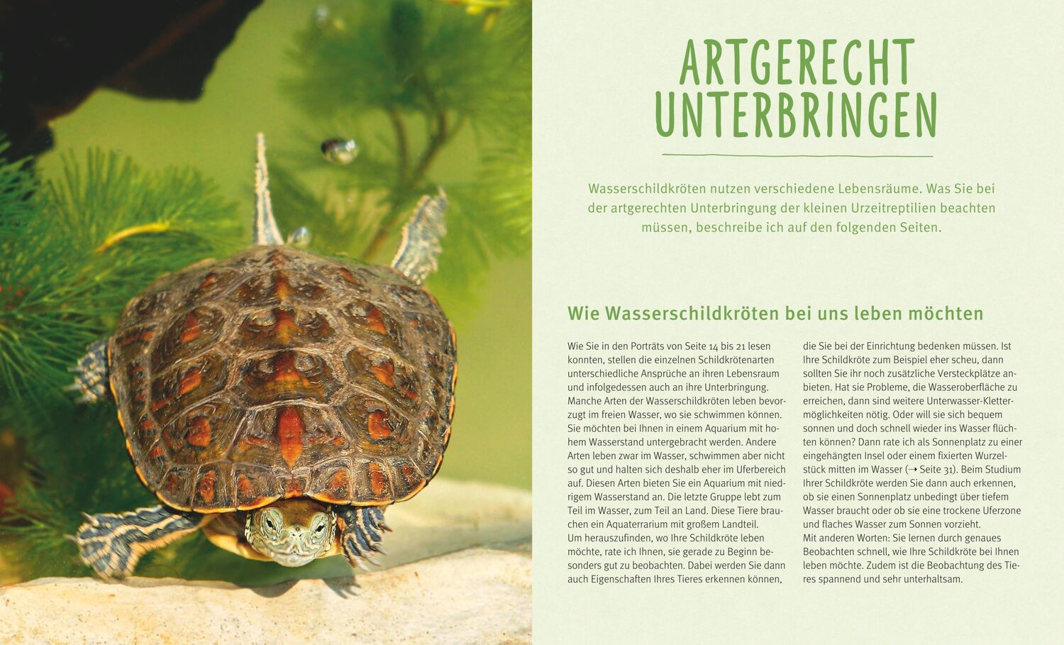 Bild: 9783833855146 | Wasserschildkröten | Wohlfühl-Basics für urtümliche Riesen | Wilke