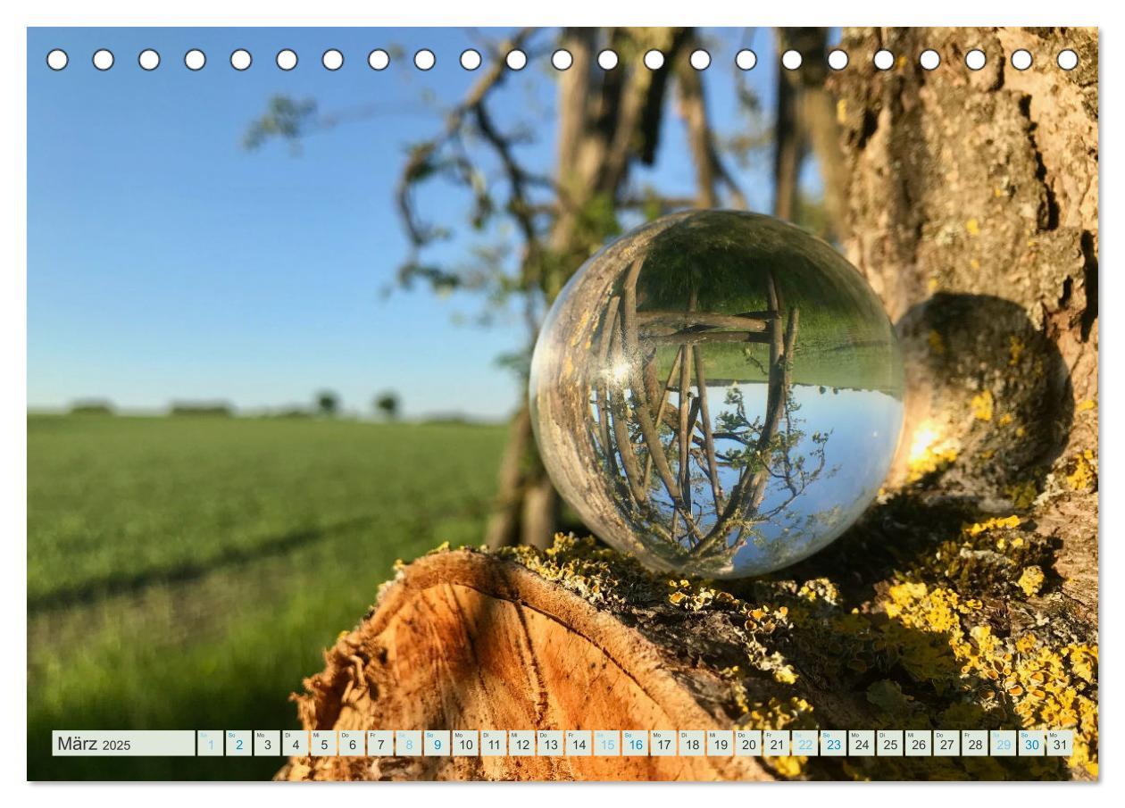 Bild: 9783383992568 | Perspektiven 2025 - Natur im Prismablick (Tischkalender 2025 DIN A5...