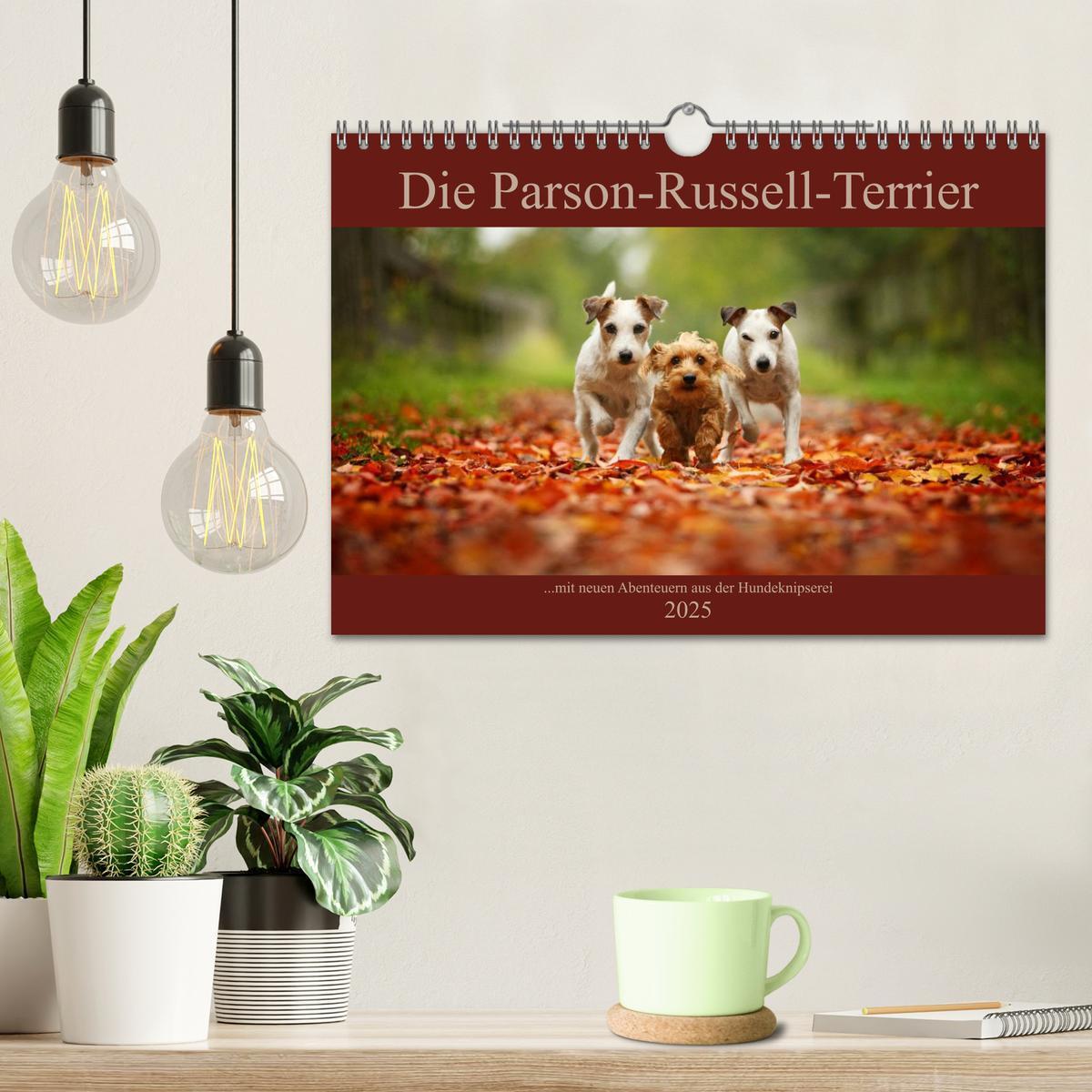 Bild: 9783435473755 | Die Parson-Russell-Terrier ...mit neuen Abenteuern aus der...