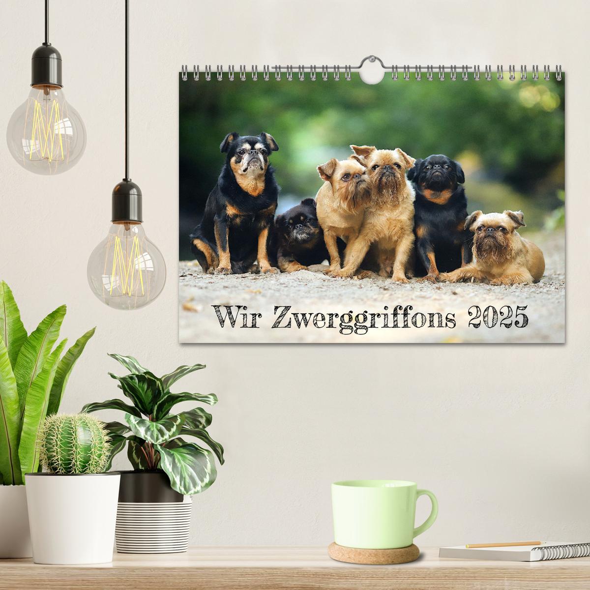 Bild: 9783383936968 | Wir Zwerggriffons 2025 (Wandkalender 2025 DIN A4 quer), CALVENDO...