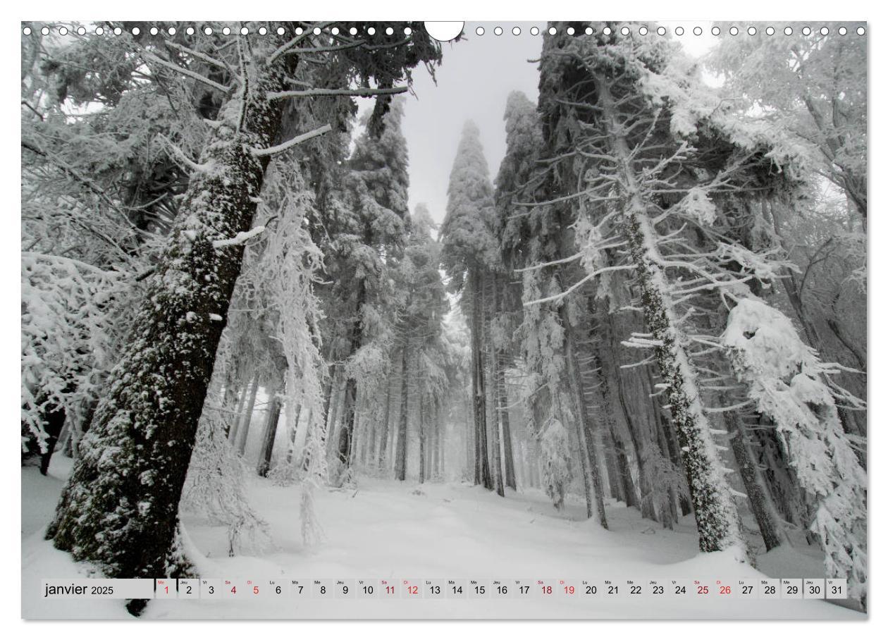 Bild: 9781325937813 | Splendeurs des Vosges (Calendrier mural 2025 DIN A3 vertical),...