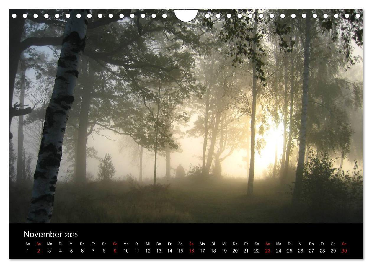 Bild: 9783435783861 | Südschweden (Wandkalender 2025 DIN A4 quer), CALVENDO Monatskalender