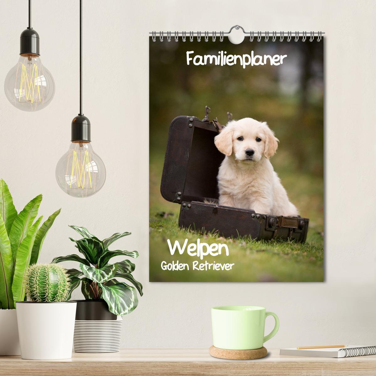 Bild: 9783457088562 | Familienplaner: Golden Retriever Welpen (Wandkalender 2025 DIN A4...