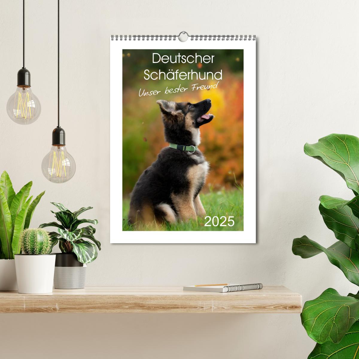 Bild: 9783457012345 | Deutscher Schäferhund - unser bester Freund (Wandkalender 2025 DIN...