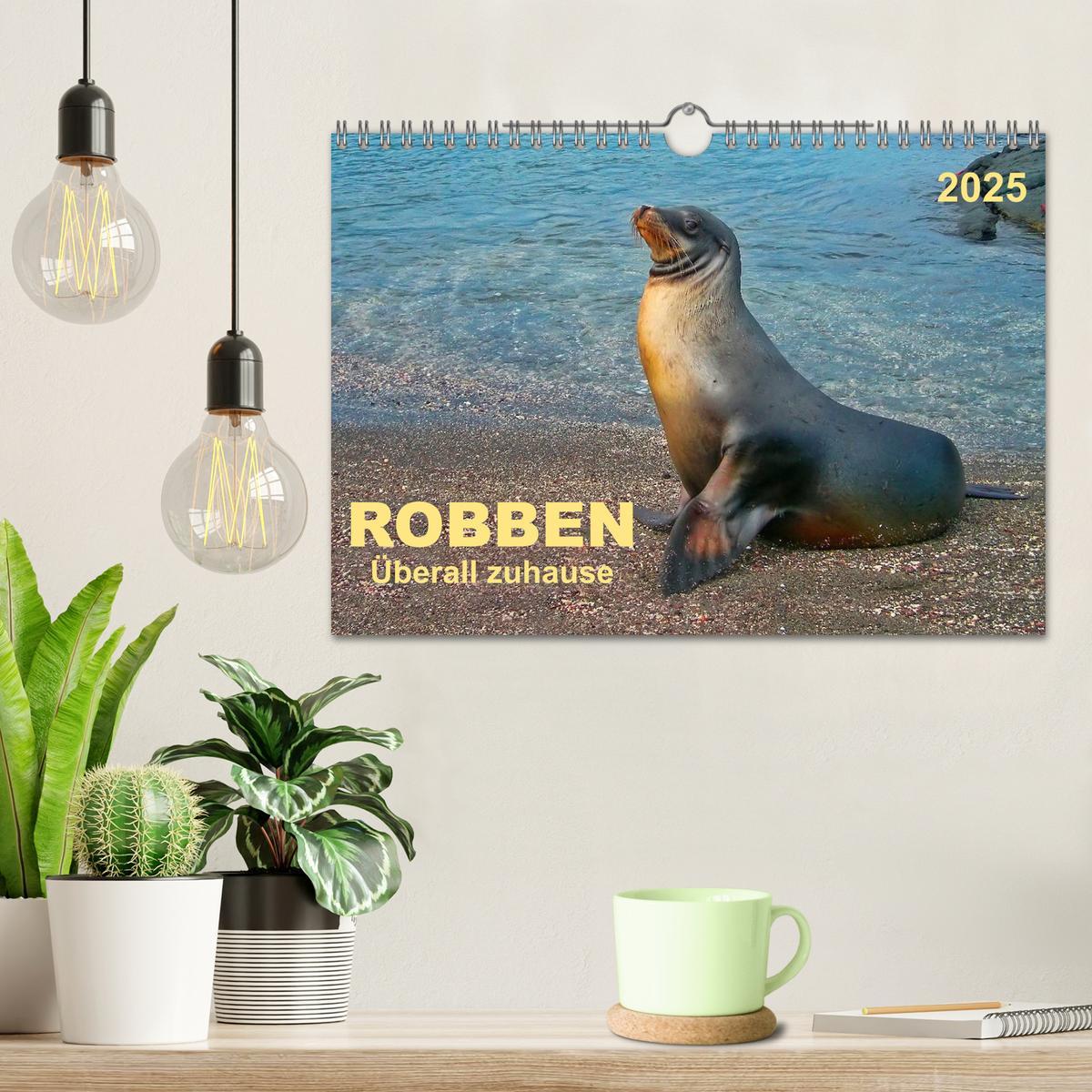 Bild: 9783435725120 | Robben - überall zuhause (Wandkalender 2025 DIN A4 quer), CALVENDO...