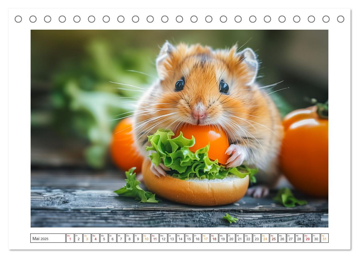 Bild: 9783435084876 | Lustige Hamster (Tischkalender 2025 DIN A5 quer), CALVENDO...