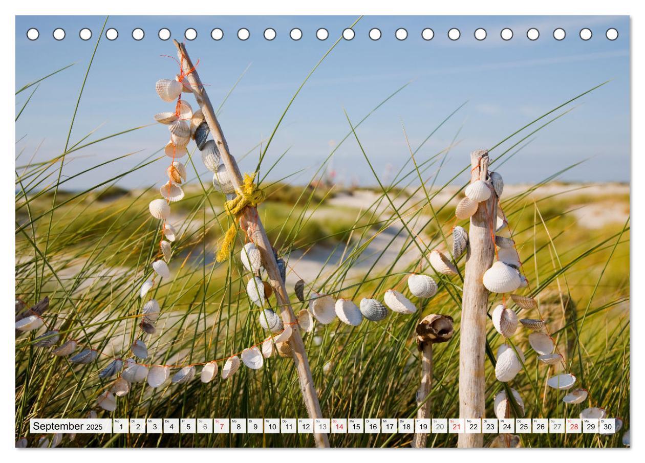 Bild: 9783435618019 | Amrum. Natur und Landschaften (Tischkalender 2025 DIN A5 quer),...