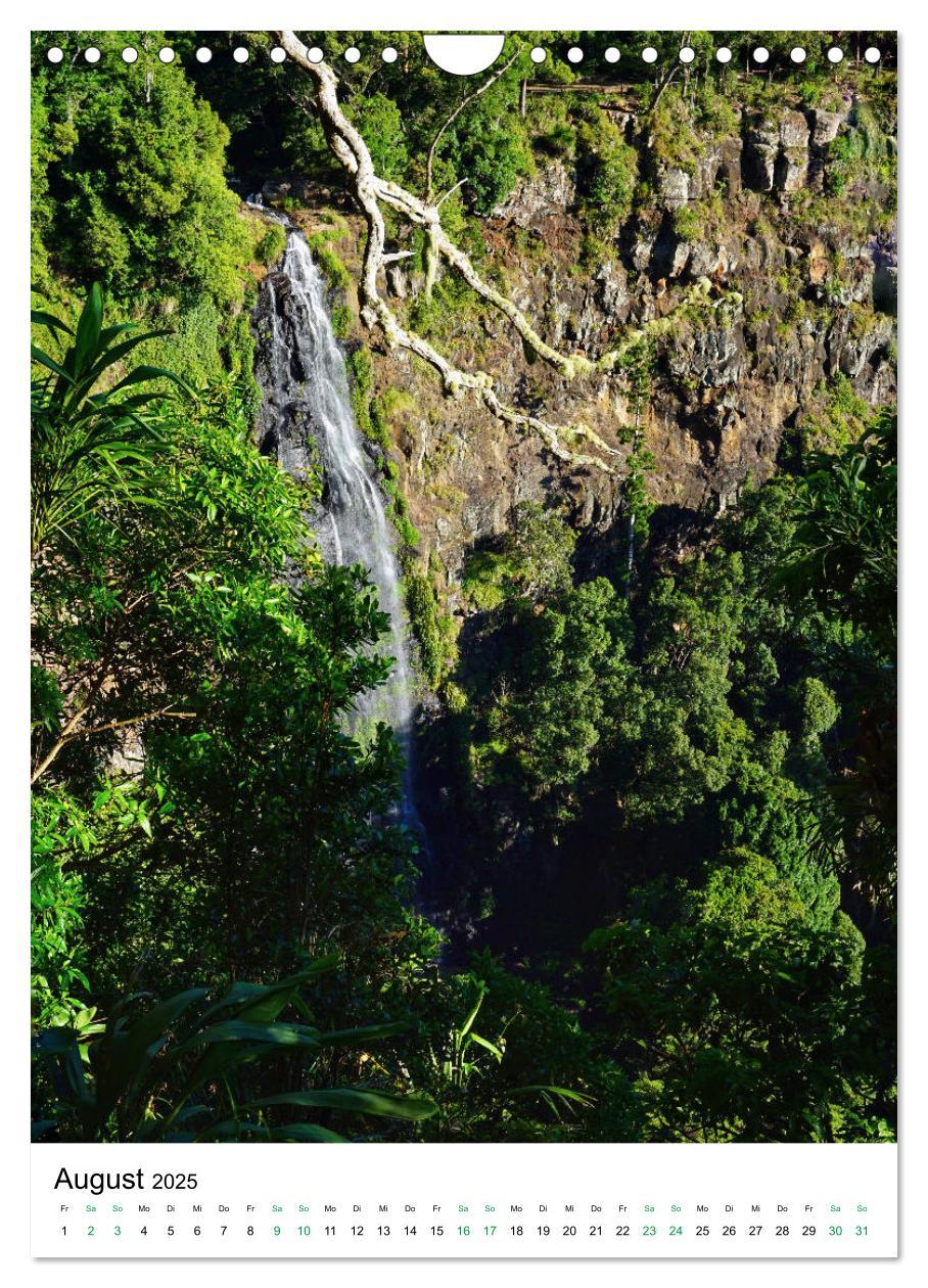 Bild: 9783435972944 | Regenwald - Australien (Wandkalender 2025 DIN A4 hoch), CALVENDO...