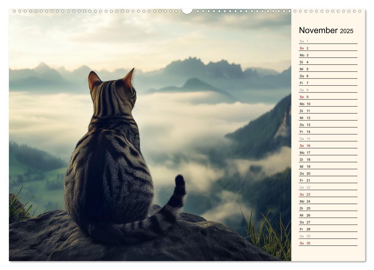 Bild: 9783457179857 | Katzen schaffen Kunst (Wandkalender 2025 DIN A2 quer), CALVENDO...