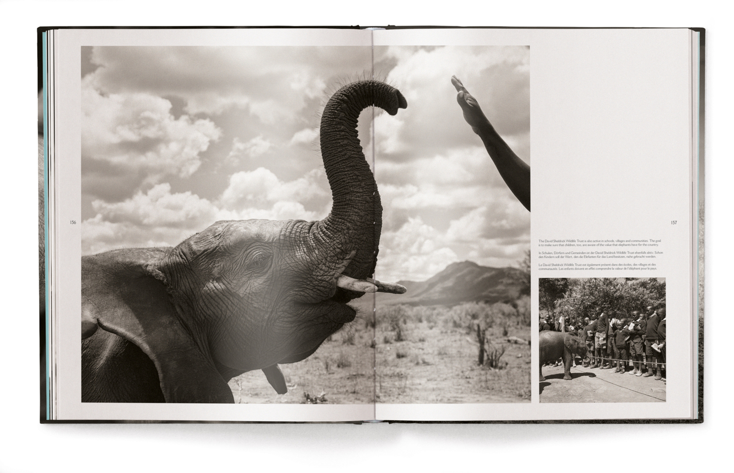 Bild: 9783961710478 | Elephants in Heaven | Joachim Schmeisser | Buch | 176 S. | Deutsch