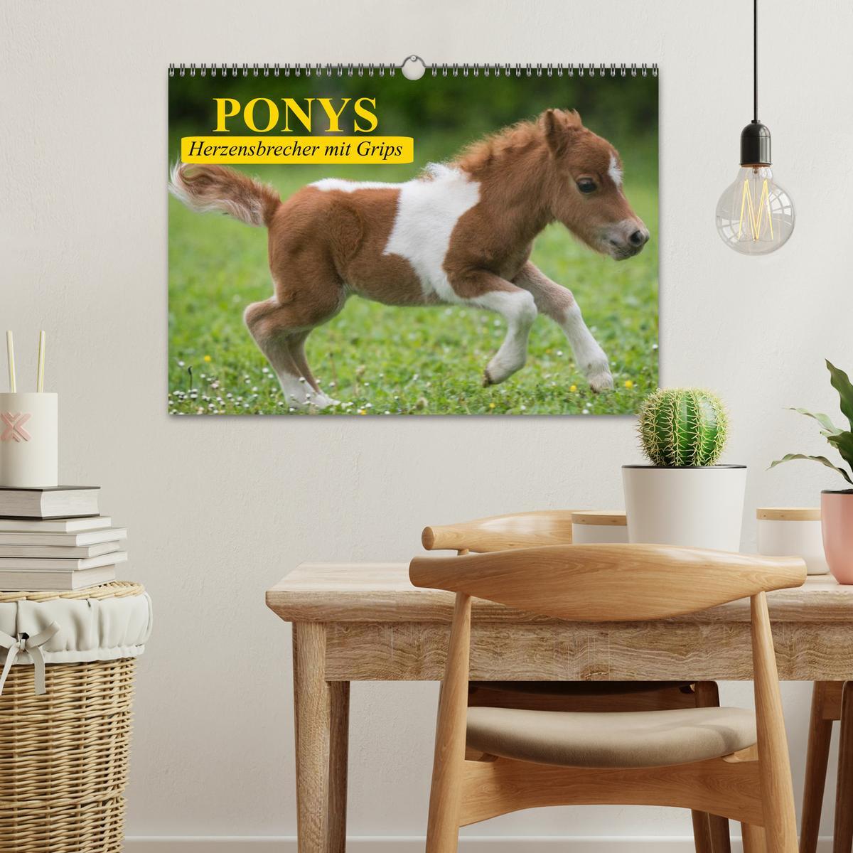 Bild: 9783435651825 | Ponys. Herzensbrecher mit Grips (Wandkalender 2025 DIN A3 quer),...